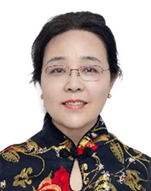 Prof. Dr. Xuping Zhang